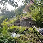 Baumkrone 발트에크