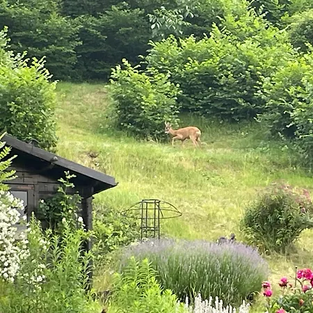 公寓 Baumkrone 瓦尔德克