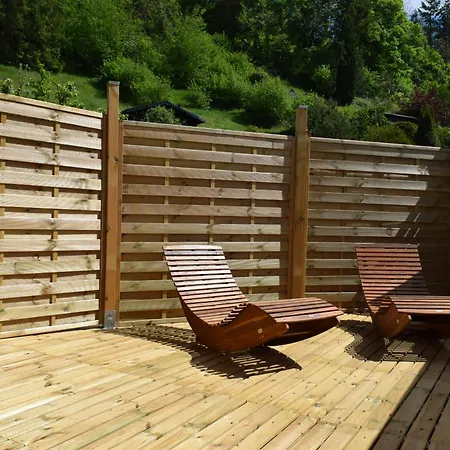 Baumkrone Waldeck (Hessen)