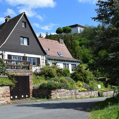 Baumkrone *